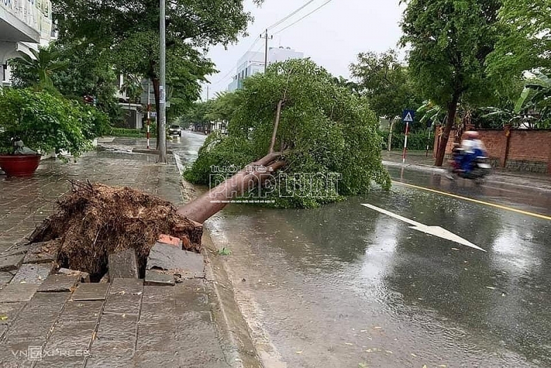 Hình ảnh những thiệt hại do cơn bão số 12 gây nên tại Nha Trang