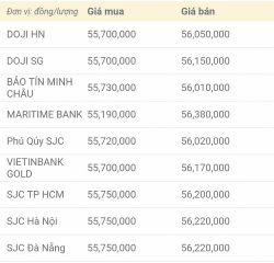 gia vang hom nay 2311 tiep tuc tang nhe