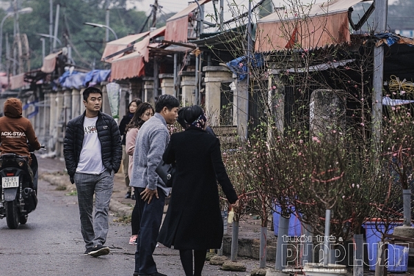 dao no som xuong pho don tet duong lich