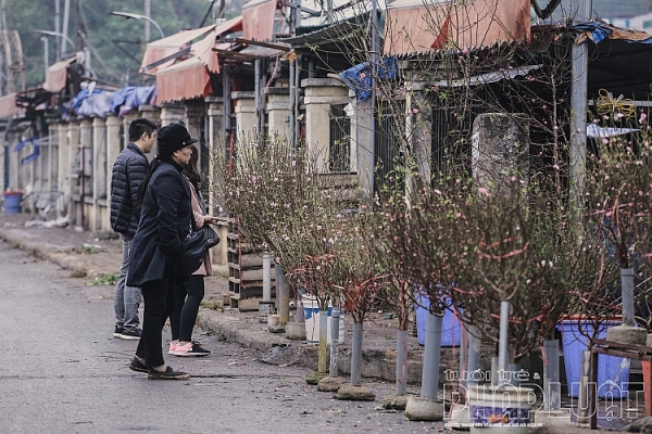 dao no som xuong pho don tet duong lich