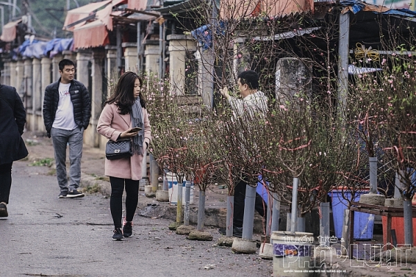 dao no som xuong pho don tet duong lich