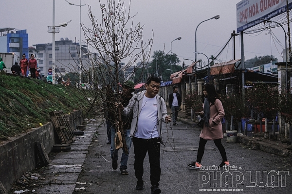 dao no som xuong pho don tet duong lich