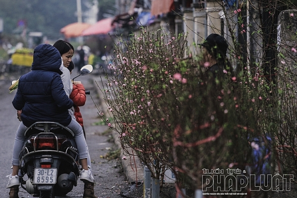 dao no som xuong pho don tet duong lich