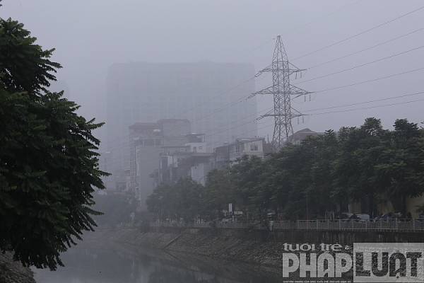 ha noi chim trong suong mu day dac