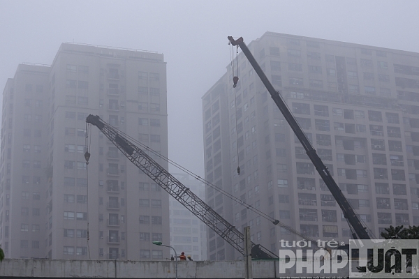ha noi chim trong suong mu day dac