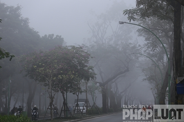 ha noi chim trong suong mu day dac
