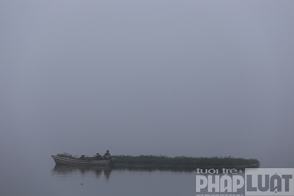 ha noi chim trong suong mu day dac