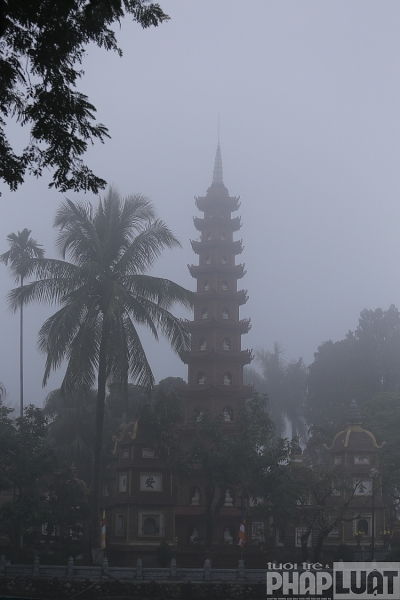 ha noi chim trong suong mu day dac