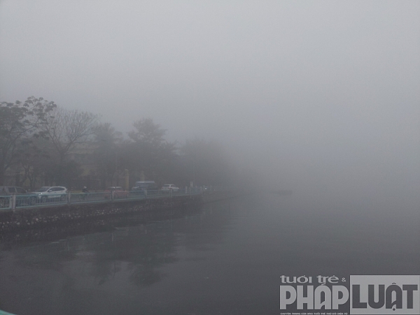 ha noi chim trong suong mu day dac