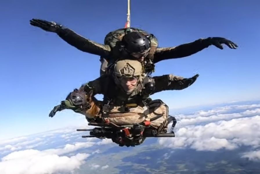 Biệt đội lính khuyển nhảy dù của quân đội Pháp