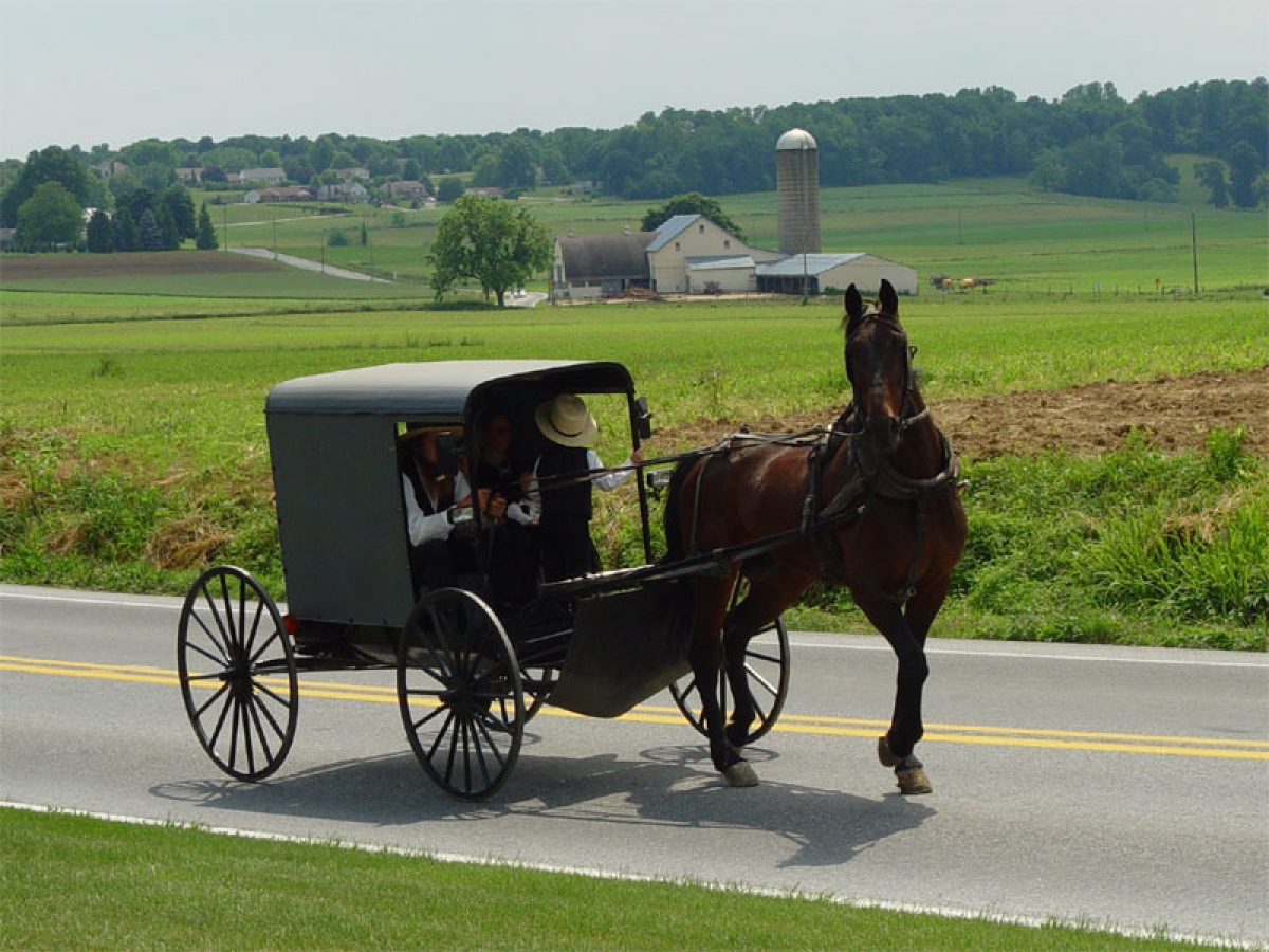 Người Amish chọn cách vận chuyển bằng ngựa để giữ cho cộng đồng ở địa phương có sự gắn kết hơn. Ảnh: Wikimedia