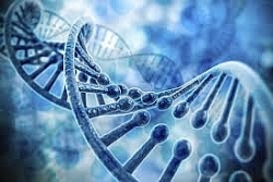 Tìm ra liệu pháp gen mới giúp kéo dài tuổi thọ tới 25%