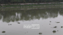 bo tai nguyen va moi truong tiep tuc de nghi bac ninh xu ly viec song cau bi o nhiem