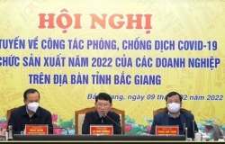 bac giang dong hanh cung doanh nghiep thao go kho khan de but pha