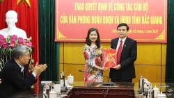 bac giang bo nhiem chanh van phong doan dbqh va hdnd tinh