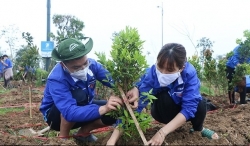 Sở Y tế Hà Nội đẩy mạnh tổ chức các hoạt động hưởng Ngày môi trường thế giới 5/6
