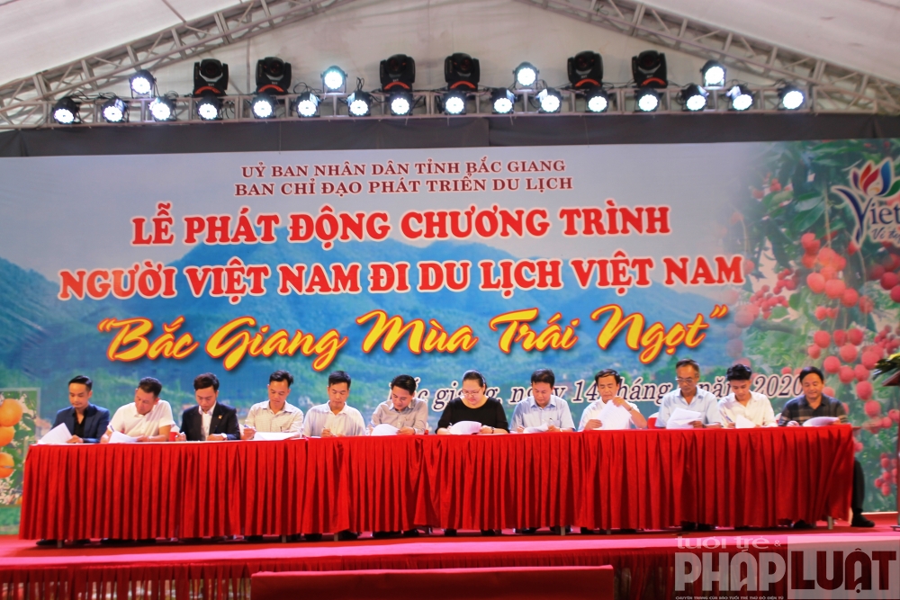 bac giang mua trai ngot gop suc vao chuong trinh nguoi viet nam di du lich viet nam