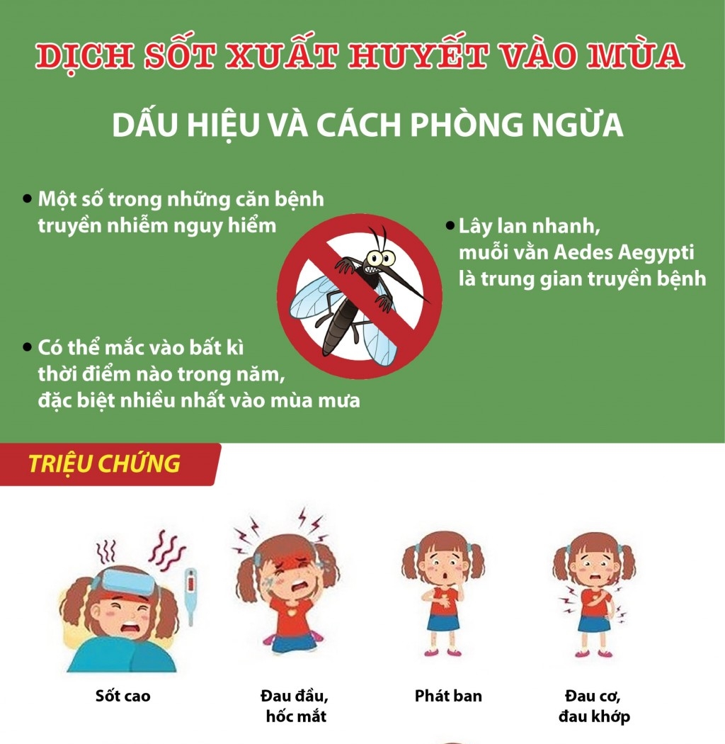 Dịch sốt xuất huyết vào mùa: Dấu hiệu và cách phòng ngừa