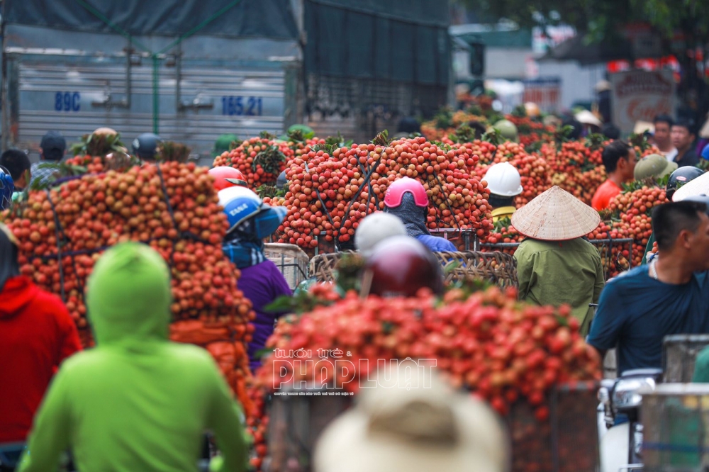 Thủ tướng phê chuẩn kết quả bầu cử, Bắc Giang nỗ lực vì một nền hành chính phục vụ