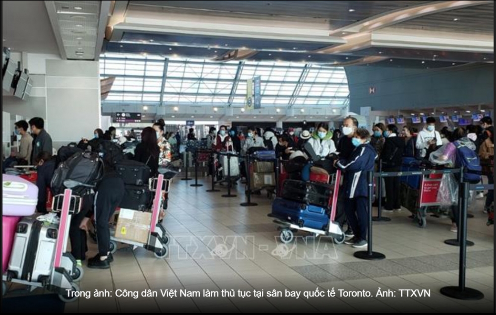 Dịch COVID-19: Đưa hơn 350 công dân Việt Nam từ Canada và Hàn Quốc về nước - Ảnh thời sự quốc tế - Văn hóa xã hội - Thông tấn xã Việt Nam (TTXVN)