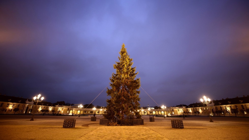 Một cây thông Noel không được thắp sáng được nhìn thấy tại Cung điện Schoenbrunn ở Vienna, Áo (Ảnh: REUTERS / Lisi Niesner)