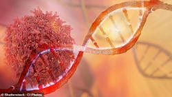 Anh thí điểm xét nghiệm máu đơn giản giúp phát hiện 50 bệnh ung thư