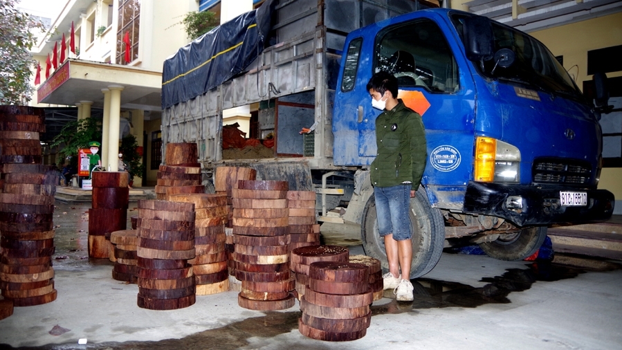 Hà Giang: Bắt giữ đối tượng “ngụy trang” cất giấu 292 khúc gỗ nghiến