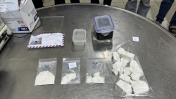 Nghệ An: Triệt xóa 4 điểm phức tạp về ma túy tại các huyện Quỳ Hợp, Quỳ Châu
