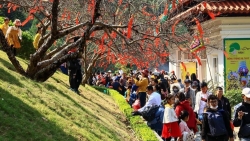 vinh phuc hon 230 nghin du khach ve voi quoc mau tay thien chiem bai coi phat van canh tien