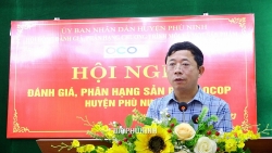 Phú Thọ: Cho thôi việc Phó Chủ tịch UBND huyện Phù Ninh