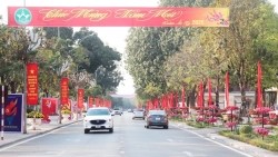 Thành phố Vĩnh Yên rực rỡ mừng Đảng, mừng xuân Ất Tỵ 2025