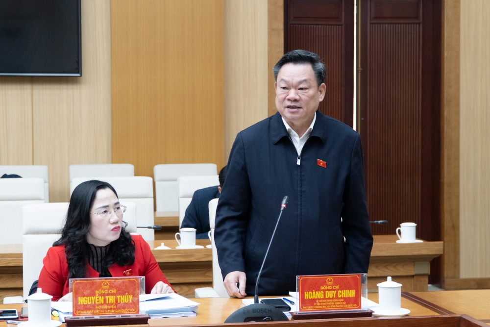 Phó Chủ tịch Thường trực Hội đồng Dân tộc Hoàng Duy Chinh phát biểu