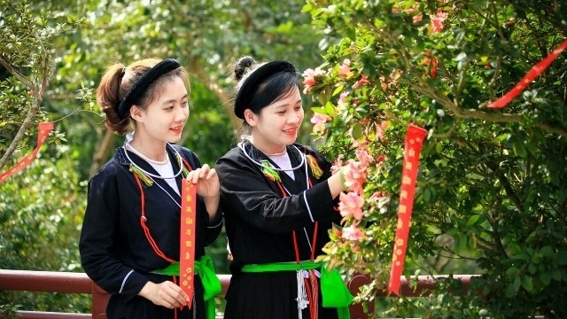 Vĩnh Phúc: Sắc hoa trên đỉnh Tây Thiên