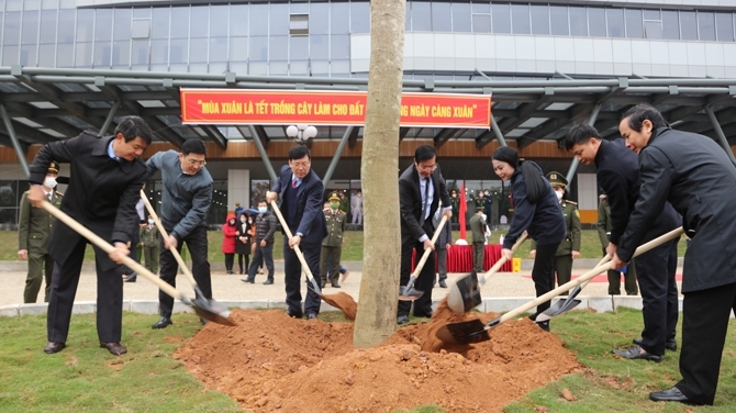 Vĩnh Phúc trồng 600 nghìn cây phân tán tại các nơi gắn liền với đời sống của người dân