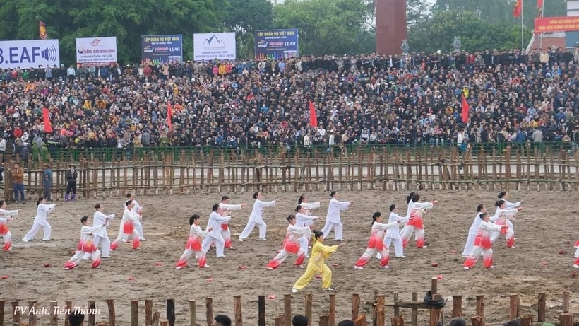 Vĩnh Phúc: Biển người đi xem hội chọi trâu Hải Lựu