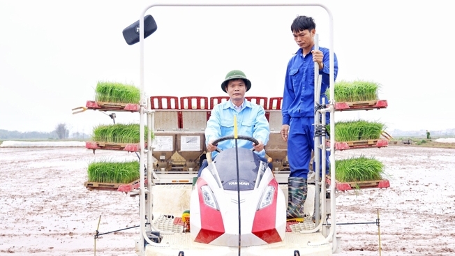 Lãnh đạo tỉnh Vĩnh Phúc xuống đồng, động viên nông dân sản xuất đầu xuân