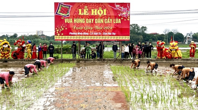 Tham gia lễ hội Vua Hùng dậy dân cấy lúa 2024, có 2 đội thi tranh tài cấy lúa gồm đội Đồi Lúa (mặc trang phục áo nâu vàng) và đội Đồi Rơm (mặc áo hồng nhạt).