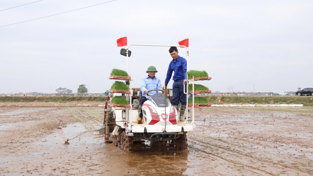 Lãnh đạo Vĩnh Phúc xuống đồng cấy máy, động viên nông dân