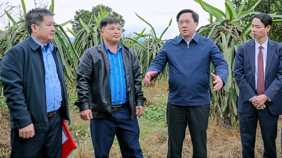 Vĩnh Phúc: Kiểm tra công tác GPMB dự án Đường dây 500kV Lào Cai - Vĩnh Yên