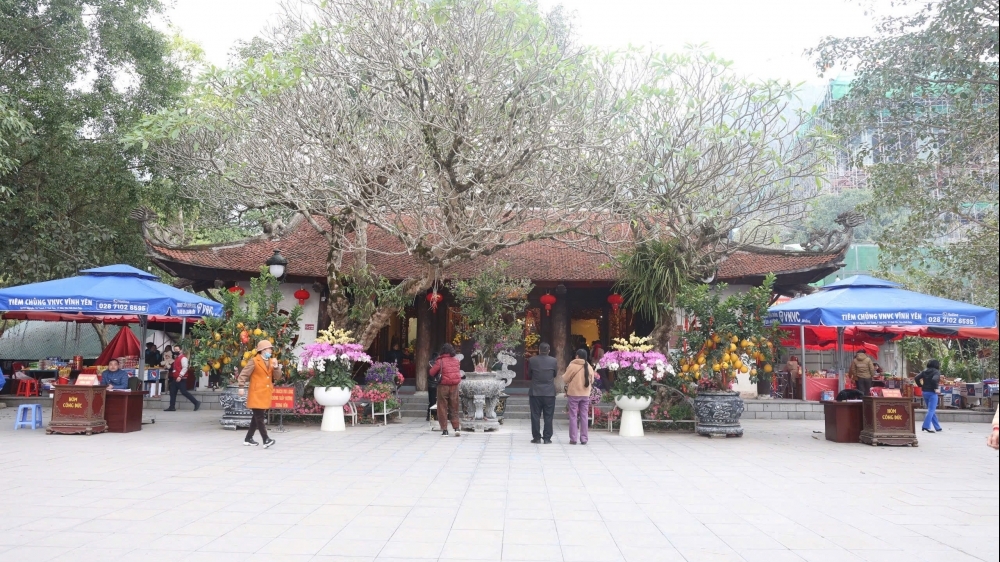 Huyện Tam Đảo: Không có tình trạng thu phí bừa bãi