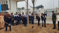 Huyện Lập Thạch: Trồng mới 150.000 cây phân tán năm 2025