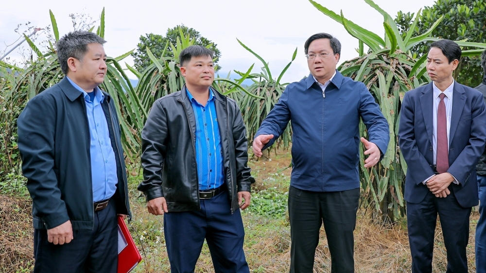 Huyện Lập Thạch: Đẩy nhanh GPMB dự án Đường dây 500KV Lào Cai – Vĩnh Yên