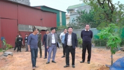 Phú Thọ: Xử phạt 15 triệu đồng về hành vi tự ý san lấp trái phép đất nông nghiệp