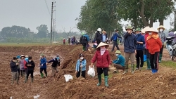 vinh phuc chum anh nguoi dan xa phu xuan nhan ruong tu don thua doi ruong