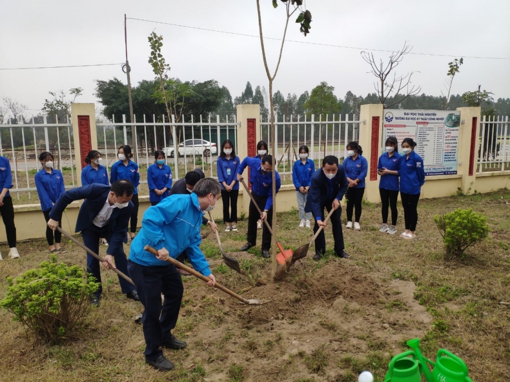 Công trình “Hàng cây thanh niên” là hoạt động ý nghĩa lan tỏa phong trào trồng cây xanh bảo vệ môi trường, ứng phó với biến đổi khí hậu 