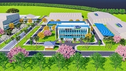 vinh phuc sap co nha may che bien thit bo 500 trieu usd