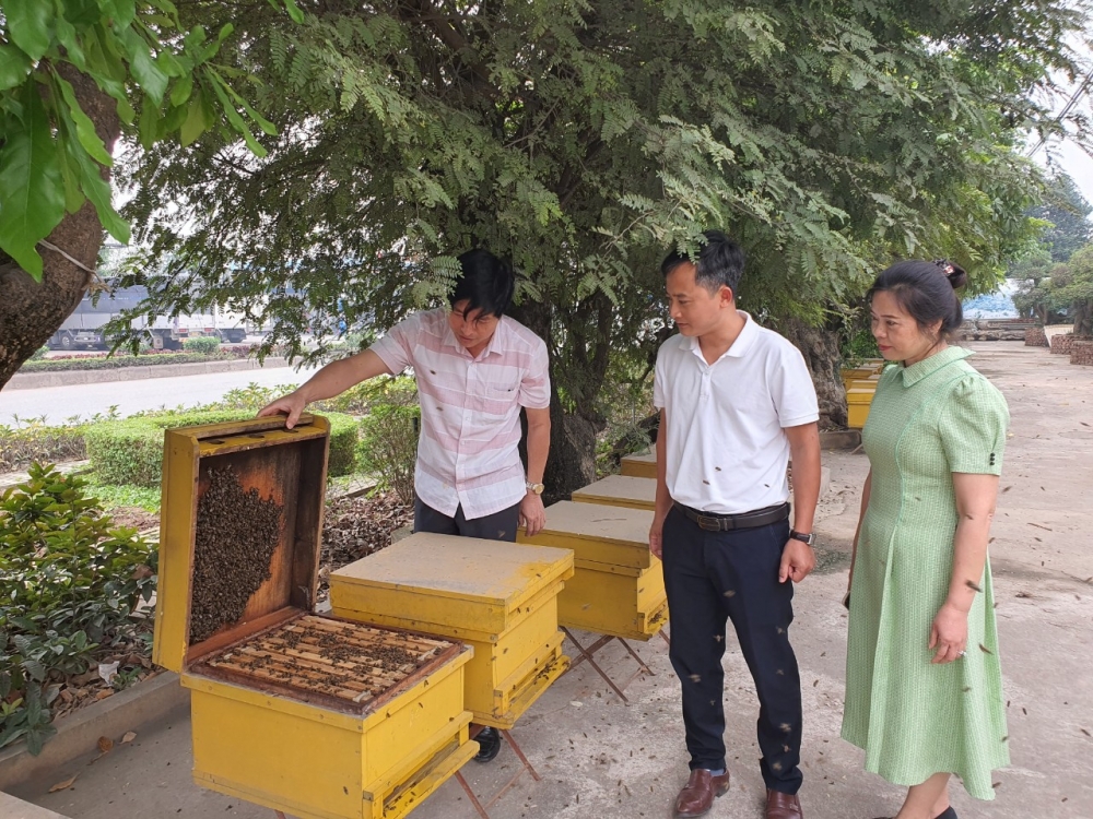 Kỹ sư Nguyễn Văn Trường (ở giữa) đang lý giải nguyên nhân mật ong kết tinh