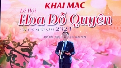 vinh phuc an tuong khai mac le hoi hoa do quyen thi tran tam dao
