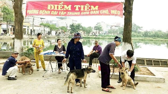 Vĩnh Phúc: Tăng cường phòng, chống, kiểm soát bệnh dại