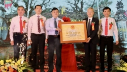 vinh tuong vinh phuc den duc ong duoc cong nhan la di tich lich su quoc gia